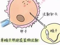 2026乌克兰试管婴儿比较好的医院有哪些？乌克兰试管成功率高吗？