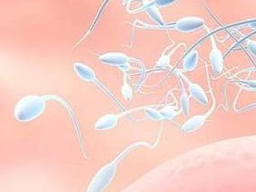 2026年30岁能做试管授孕吗？